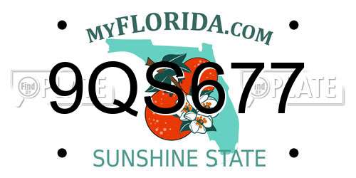 9QS677 Florida License Plate