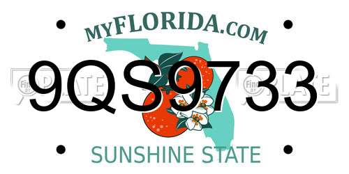 9QS9733 Florida License Plate
