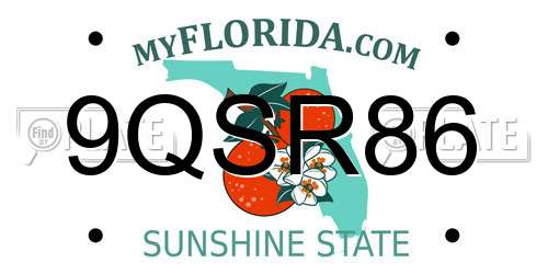 9QSR86 Florida License Plate
