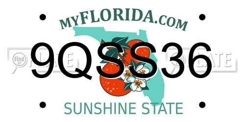 9QSS36 Florida License Plate
