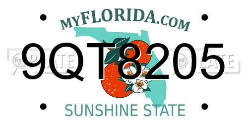 9QT8205 Florida License Plate