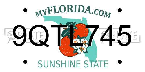 9QTL745 Florida License Plate