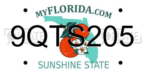 9QTS205 Florida License Plate