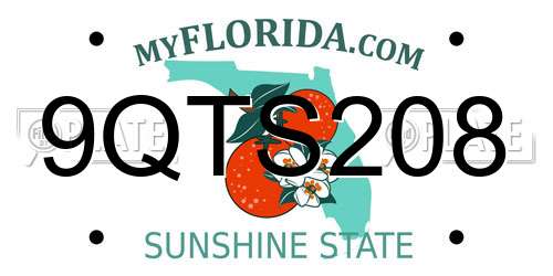 9QTS208 Florida License Plate