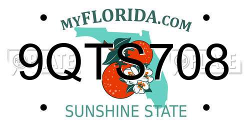 9QTS708 Florida License Plate