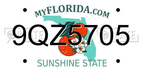 9QZ5705 Florida License Plate