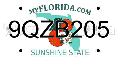 9QZB205 Florida License Plate