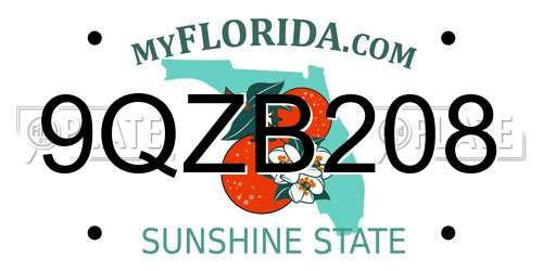 9QZB208 Florida License Plate