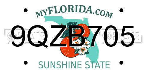 9QZB705 Florida License Plate