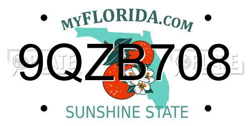 9QZB708 Florida License Plate