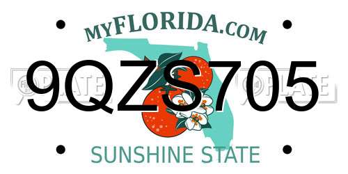 9QZS705 Florida License Plate