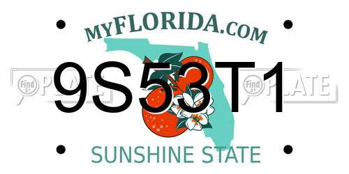 9S53T1 Florida License Plate