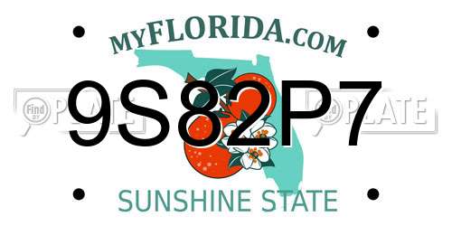 9S82P7 Florida License Plate