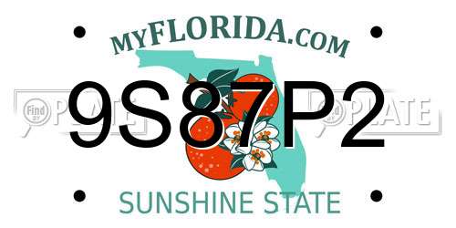 9S87P2 Florida License Plate
