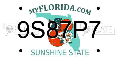 9S87P7 Florida License Plate