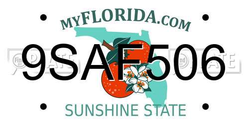 9SAF506 Florida License Plate