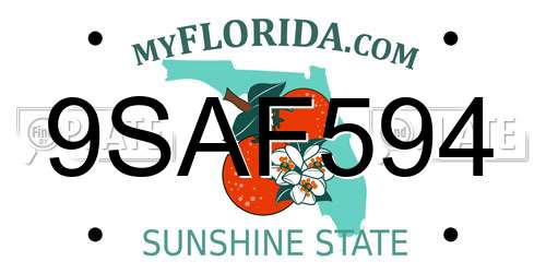 9SAF594 Florida License Plate