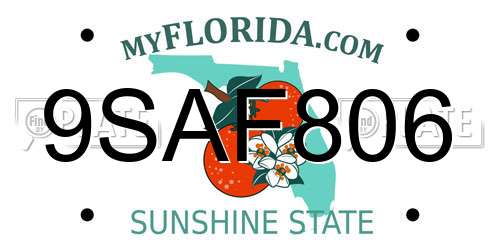 9SAF806 Florida License Plate