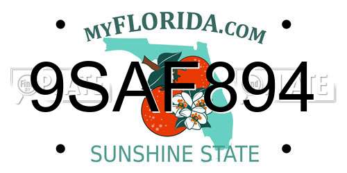 9SAF894 Florida License Plate