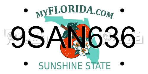 9SAN636 Florida License Plate