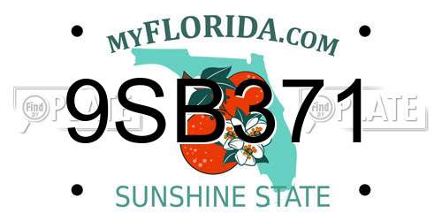 9SB371 Florida License Plate