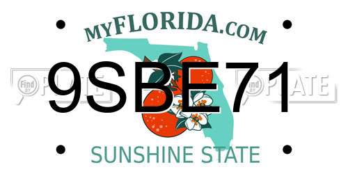9SBE71 Florida License Plate