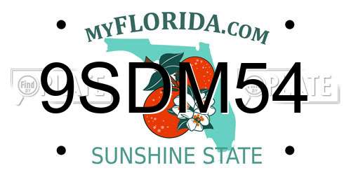 9SDM54 Florida License Plate