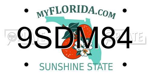 9SDM84 Florida License Plate