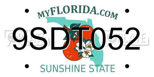 9SDT052 Florida License Plate
