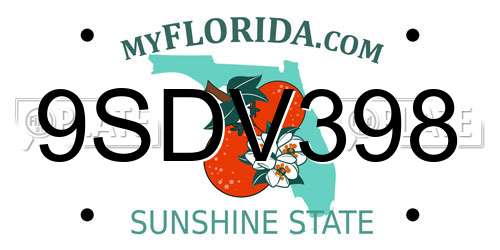 9SDV398 Florida License Plate