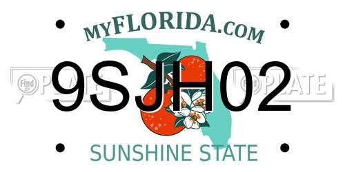 9SJH02 Florida License Plate