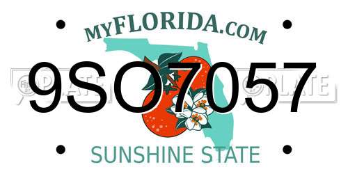 9SO7057 Florida License Plate
