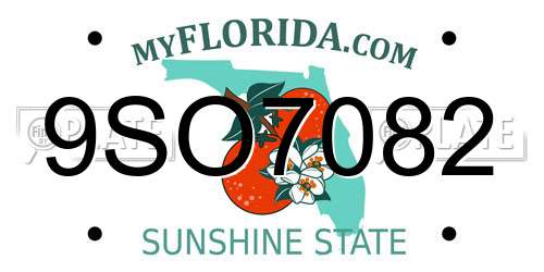 9SO7082 Florida License Plate