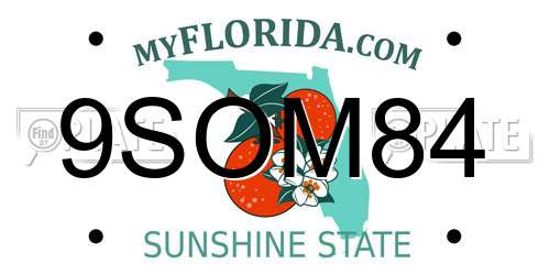 9SOM84 Florida License Plate