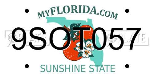 9SOT057 Florida License Plate