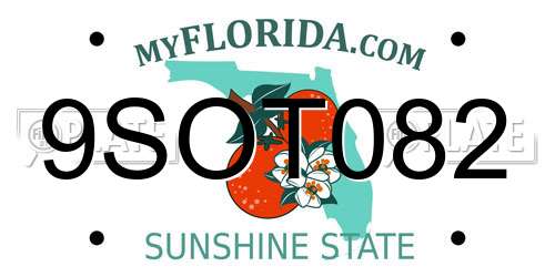 9SOT082 Florida License Plate
