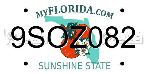 9SOZ082 Florida License Plate