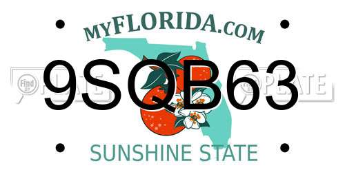 9SQB63 Florida License Plate