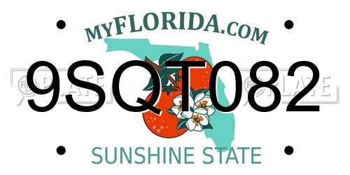 9SQT082 Florida License Plate
