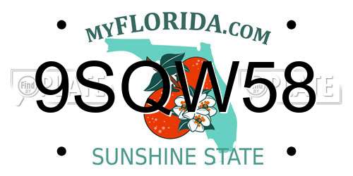 9SQW58 Florida License Plate