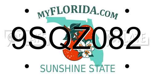 9SQZ082 Florida License Plate