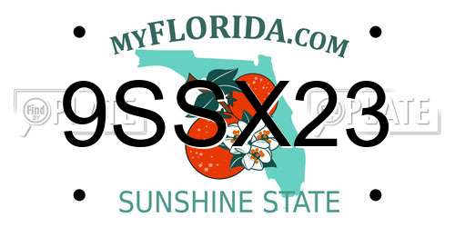 9SSX23 Florida License Plate