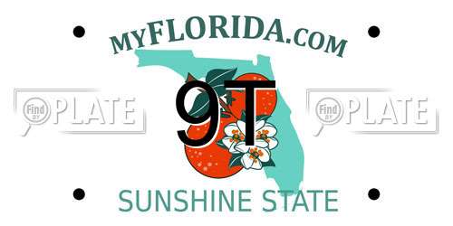 9T Florida License Plate