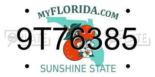 9T76385 Florida License Plate