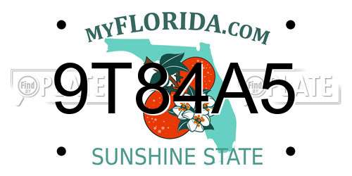 9T84A5 Florida License Plate