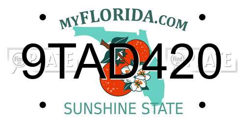 9TAD420 Florida License Plate