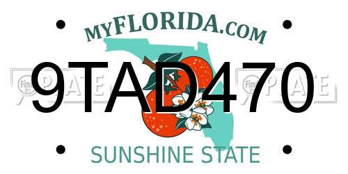 9TAD470 Florida License Plate