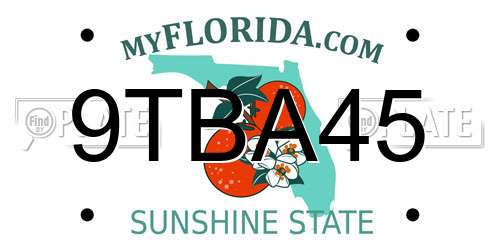9TBA45 Florida License Plate