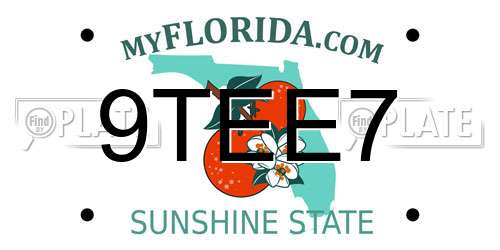 9TEE7 Florida License Plate