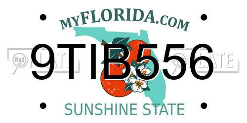 9TIB556 Florida License Plate